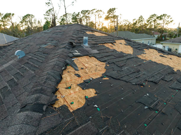 Best Rubber Roofing (EPDM, TPO)  in Conehatta, MS