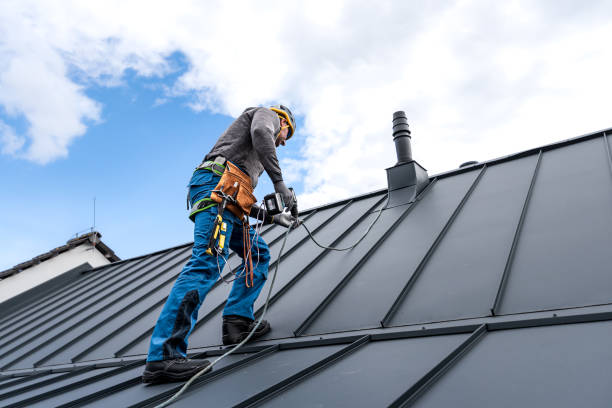 Best Roof Maintenance and Cleaning  in Conehatta, MS
